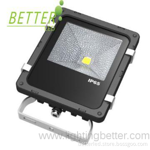 Philips Style 10W flood light high brightten with CE